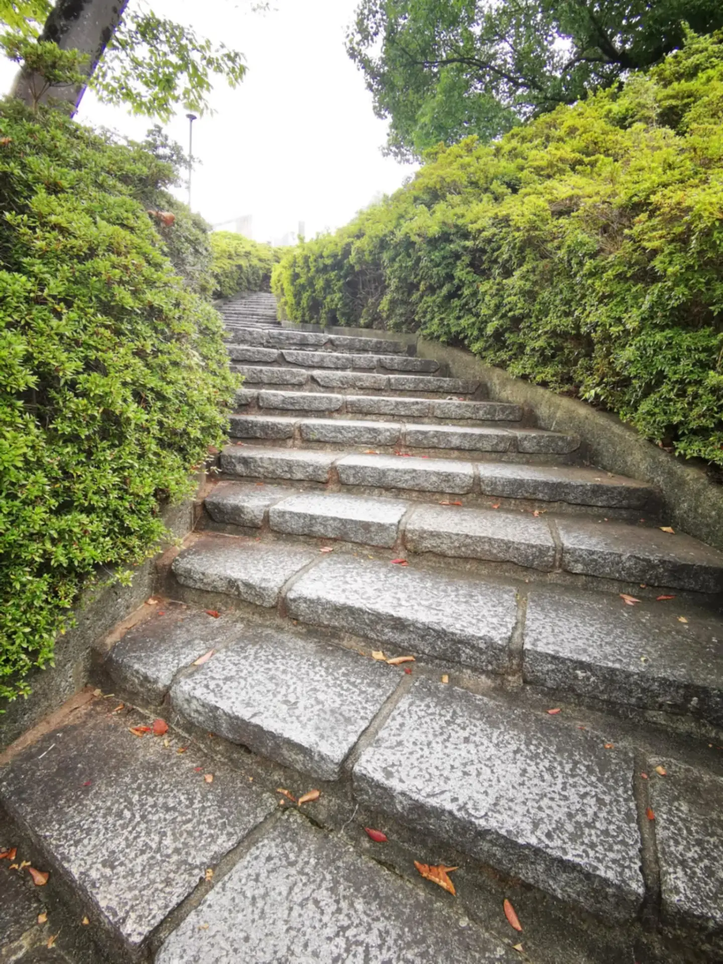 Kyoto — Kyoto City University of Arts